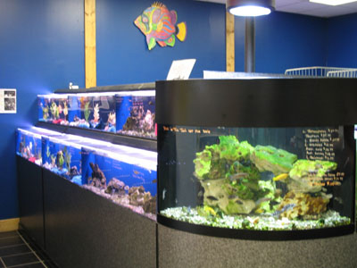 Fresh Water Tropical Fish Dept