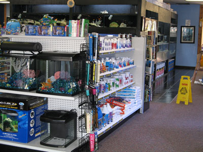 From Fish Food to Lights and Aquarium Supplys, Marine Fish  has it all ! 
