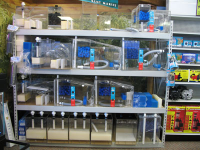 Our selection of salt and freshwater  tanks cant be beat 