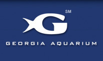 georgia aquarium, one of the largest in the world