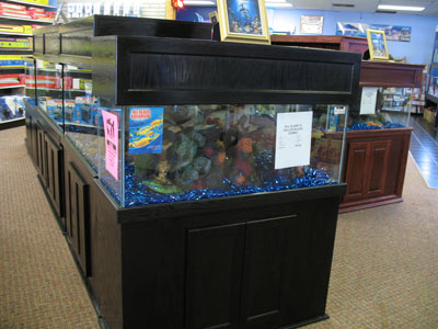 Great Selection of Fishtanks